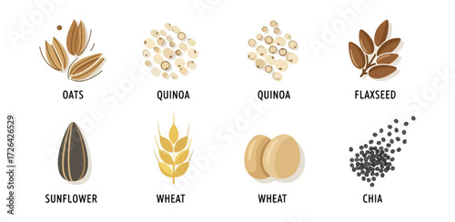 Different types of seeds and grains