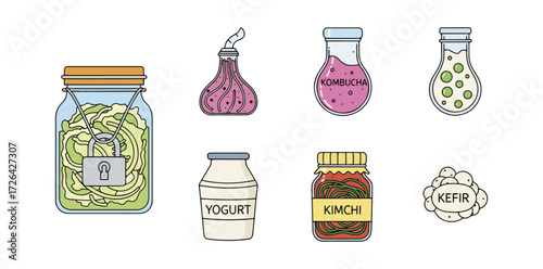 Fermented foods collection