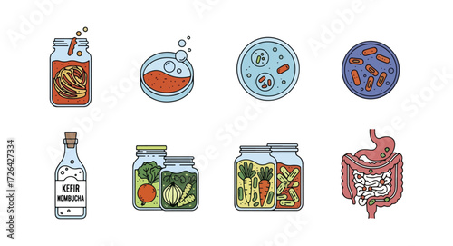 Fermented foods and gut health illustrations