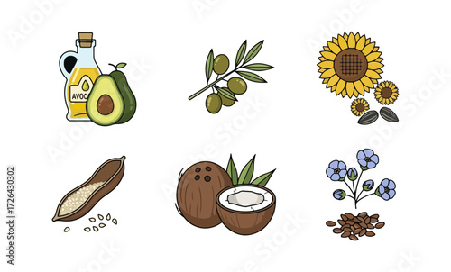 Healthy foods illustration collection