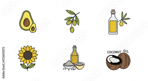 Natural oils and foods illustration