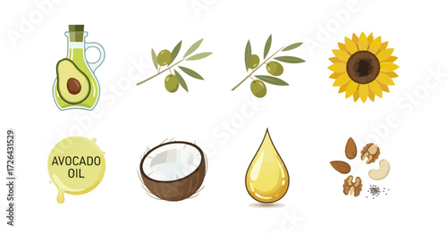 Natural oils and nuts illustration