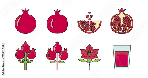 Pomegranate icons set