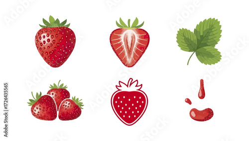 Strawberry illustrations