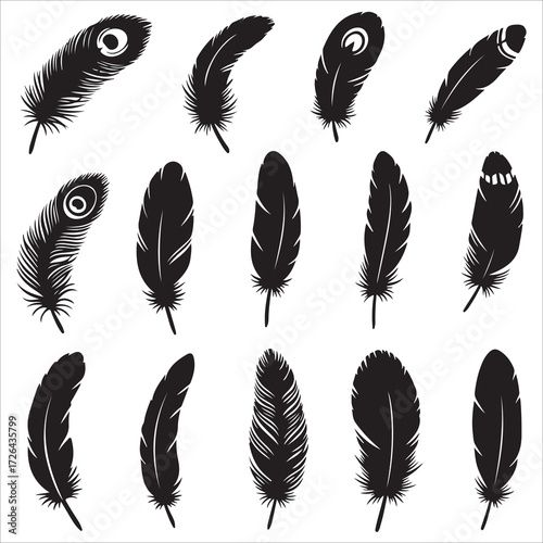 A vector illustration set of fluffy bird feathers in a seamless pattern design