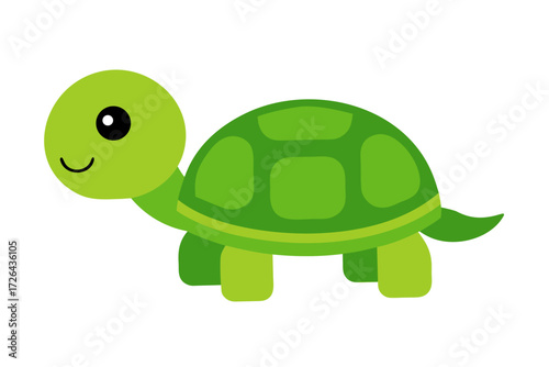 tortoise with a green leaf