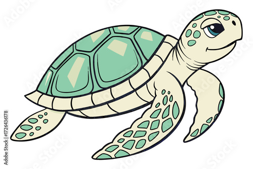 turtle vector illustration