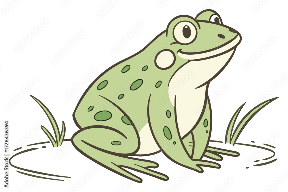 Fototapeta premium frog on a leaf