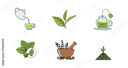 Tea making process collection and preparation