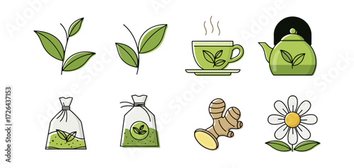 Tea herbs and flowers graphic collection