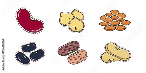 Various bean illustrations