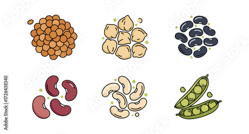 Various beans and legumes illustration