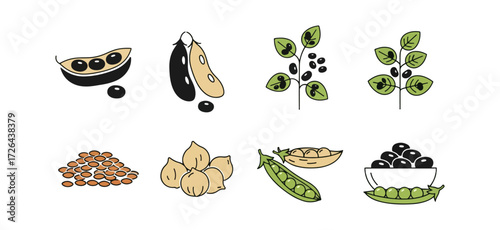 Various beans and peas illustration