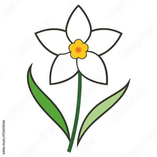 narcissus white line art on white
