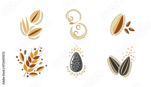 Various grains and seeds graphic design