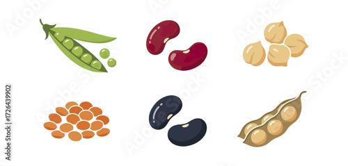 Various legumes illustration