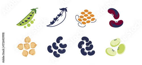 Various legumes illustration