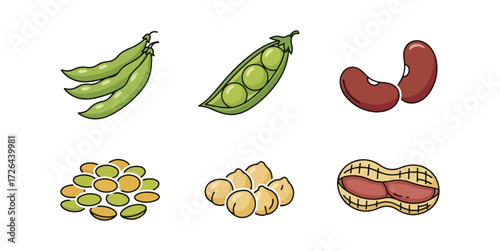 Various legumes illustration