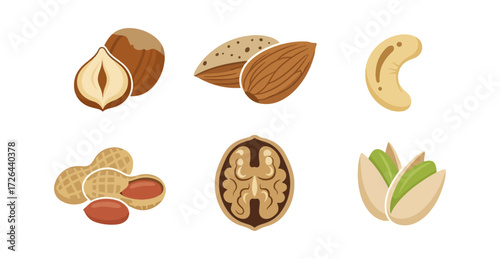Various nuts illustration