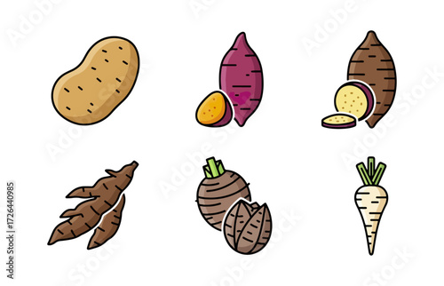 Various root vegetables illustrations