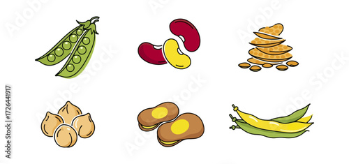 Various types of legumes and beans
