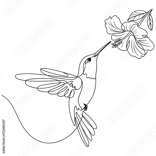 Elegant hummingbird sipping nectar from a delicate flower line art