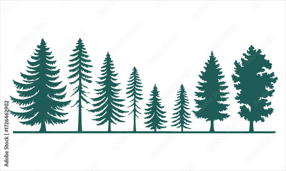 Fototapeta premium Silhouette of a variety of evergreen trees in a forest