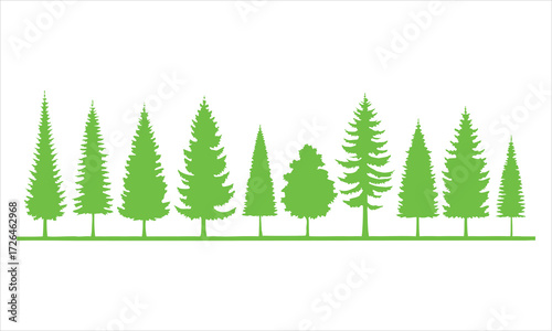 Collection of various green coniferous trees in a row