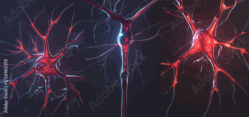 This artwork showcases intricate neurons with vibrant colors. The detailed structures reveal the fascinating connections and pathways of the nervous system.