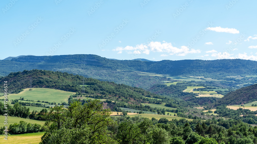 Obraz premium Rolling hills covered in lush green fields stretch across the landscape in the Pyrenees. The sunlit valleys, dotted with patches of trees, create a picturesque scene under a clear blue sky.
