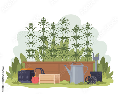 Cannabis plants growing in a raised garden bed with gardening tools