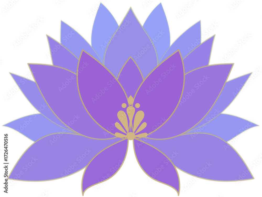 Fototapeta premium lotus flower vector