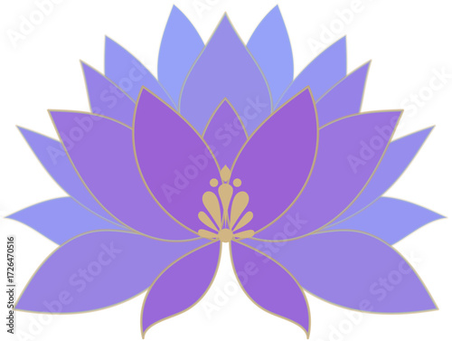 lotus flower vector