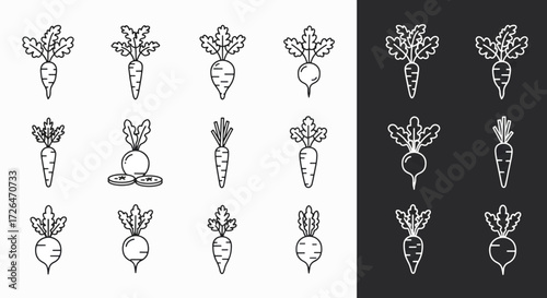 Assortment of root vegetables displayed in neat rows against a white backdrop, showcasing their unique shapes and textures in a minimalist style.