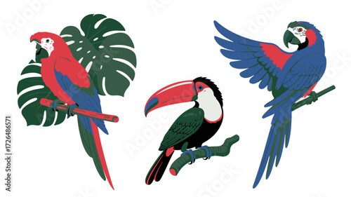 Vibrant collection of illustrated tropical birds including a red macaw, blue macaw, and toucan. Exotic jungle wildlife vector set with monstera leaf for graphic design