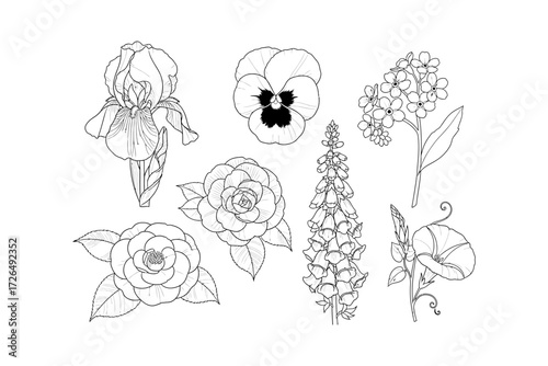 Botanical line art featuring various flowers, including roses, pansies, and other floral elements