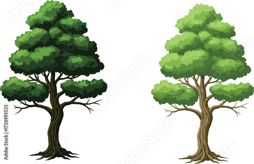 Dark and Light Tree Comparison with Green Foliage and Textured Trunks on White Background for Nature, Botany, Ecology, and Art Themes