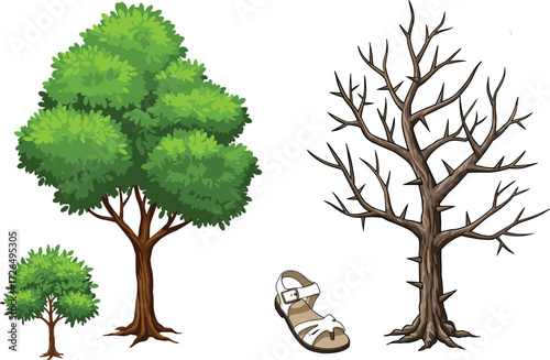 Three Tree Stages with Central Sandal on White Background Representing Growth, Maturity, Decay, Seasons, Life Cycle, and Symbolic Themes