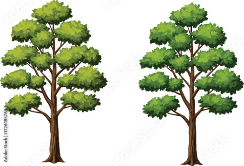 Tree comparison with light and dark green foliage, canopy shape variation, botanical diversity, and realistic nature vector illustration concept