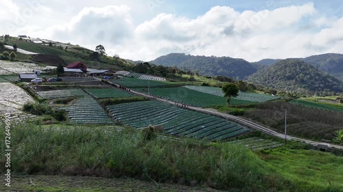 view of rice fields from above with a drone