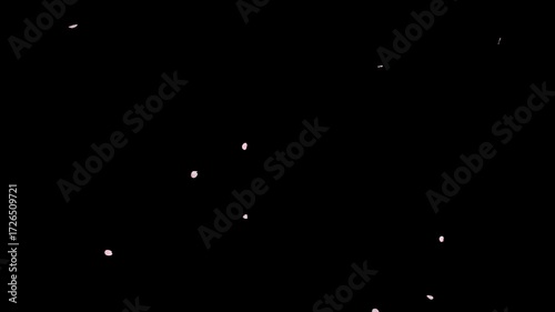 Cherry blossoms fall gracefully on a transparent background. Perfect as an overlay or visual element, adding ethereal beauty and a touch of spring elegance to any project.