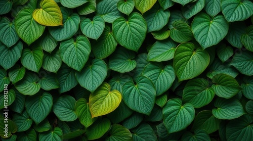 Where Green Breathes in Layers: A Rich Composition of Overlapping Leaves and Botanical Depth