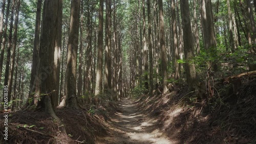 「世界遺産・熊野古道中辺路 重點(十丈)王子へ」和歌山県田辺市中辺路町高原