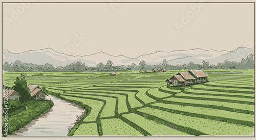 Lush terraced rice fields creating a picturesque agricultural panorama in a tranquil rural countryside