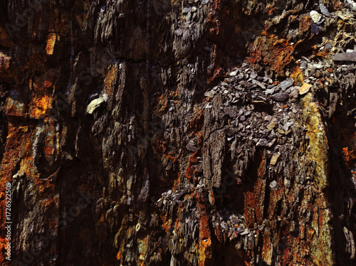 Autumn trend Burnt Wood. Burnt Wood color. Autumn style. Rock texture. Geodesy and geology. Burnt Wood tinted minerals.