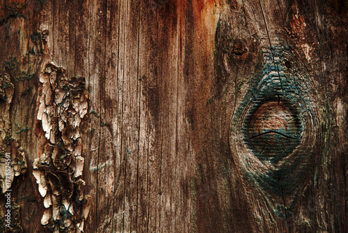 Autumn trend Burnt Wood. Burnt Wood color. Autumn style. Burnt Wood. Wood texture. Dark toned wood texture