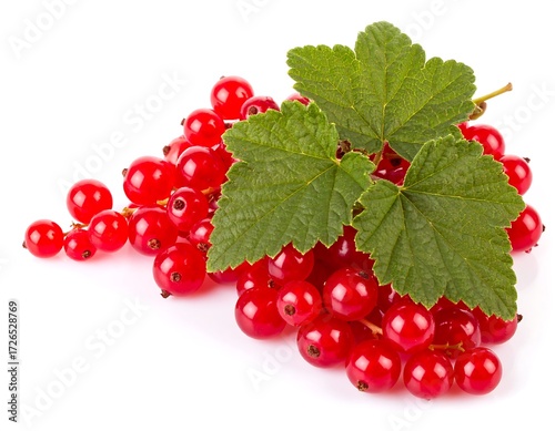 Red currants with leaves