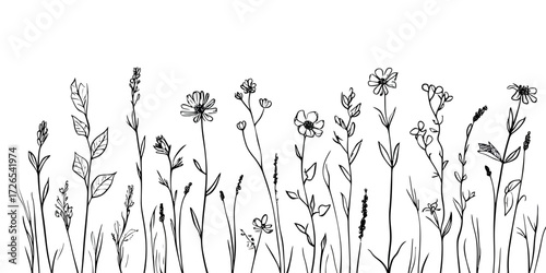 Hand drawn wildflower and wild grass line art set with delicate botanical stems and flowers in minimalist sketch style vector illustration for nature design elements