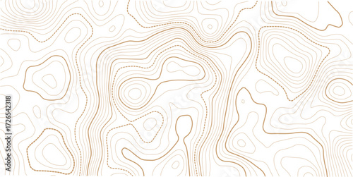 Topographic map background geographic line map with elevation assignments. Topographic map lines, contour background. topo map texture.