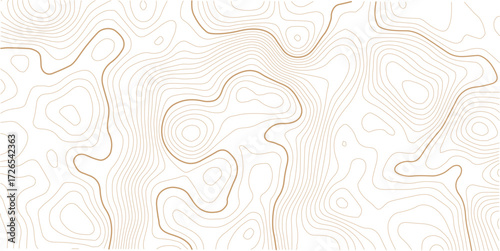 Topographic map background geographic line map with elevation assignments. Topographic map lines, contour background. topo map texture.